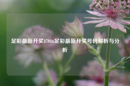 足彩最新开奖17086足彩最新开奖号码解析与分析