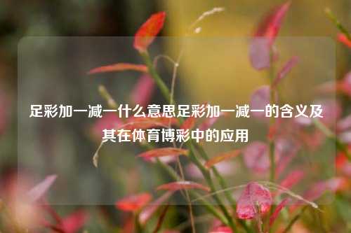 足彩加一减一什么意思足彩加一减一的含义及其在体育博彩中的应用