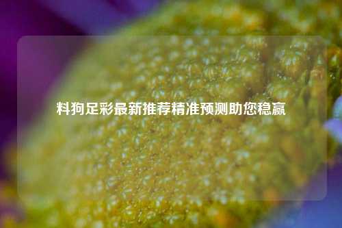 料狗足彩最新推荐精准预测助您稳赢