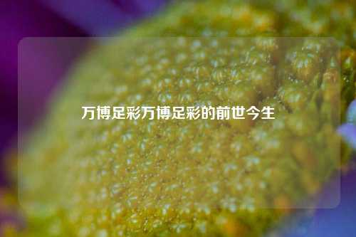 万博足彩万博足彩的前世今生