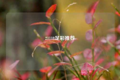 21118足彩推荐