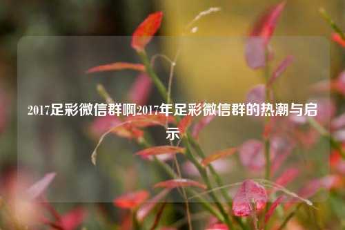 2017足彩微信群啊2017年足彩微信群的热潮与启示