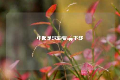 中超足球彩票app下载