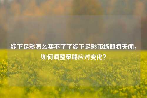 线下足彩怎么买不了了线下足彩市场即将关闭，如何调整策略应对变化？