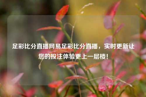 足彩比分直播网易足彩比分直播，实时更新让您的投注体验更上一层楼！