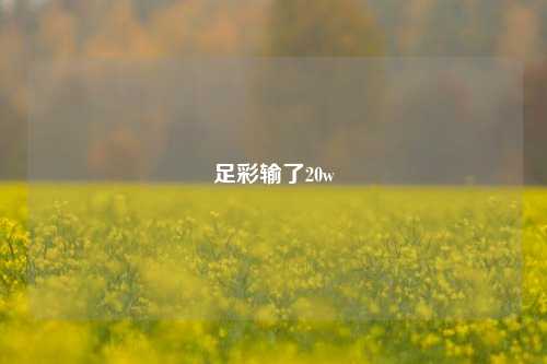 足彩输了20w