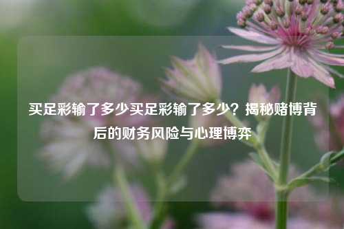 买足彩输了多少买足彩输了多少？揭秘赌博背后的财务风险与心理博弈