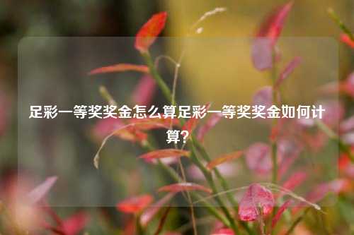 足彩一等奖奖金怎么算足彩一等奖奖金如何计算？
