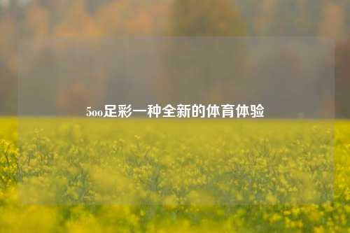 5oo足彩一种全新的体育体验
