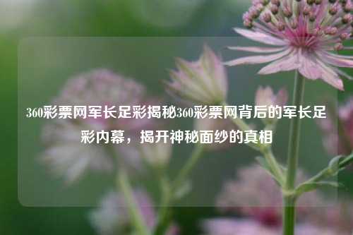 360彩票网军长足彩揭秘360彩票网背后的军长足彩内幕，揭开神秘面纱的真相
