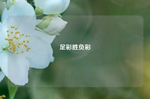 足彩胜负彩