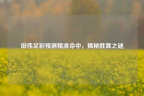 田伟足彩预测精准命中，揭秘胜算之谜