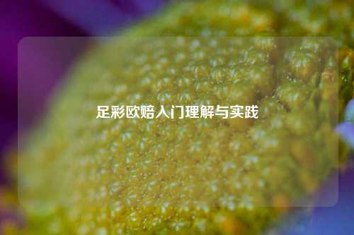 足彩欧赔入门理解与实践