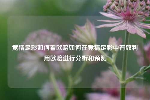 竞猜足彩如何看欧赔如何在竞猜足彩中有效利用欧赔进行分析和预测