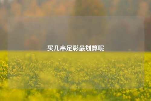 买几串足彩最划算呢