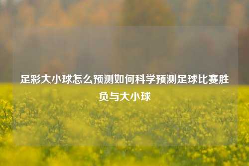 足彩大小球怎么预测如何科学预测足球比赛胜负与大小球