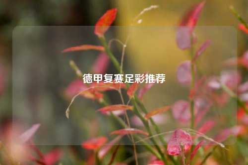 德甲复赛足彩推荐