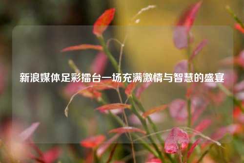 新浪媒体足彩擂台一场充满激情与智慧的盛宴