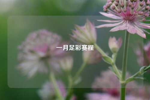 一月足彩赛程