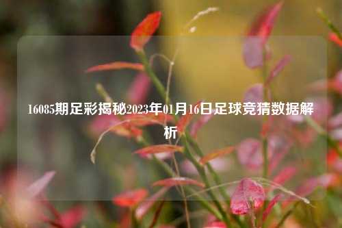 16085期足彩揭秘2023年01月16日足球竞猜数据解析