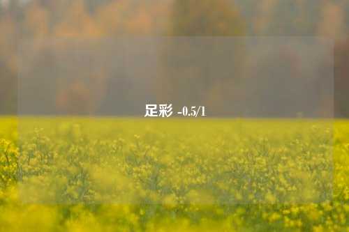 足彩 -0.5/1