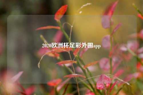 2020欧洲杯足彩外围app