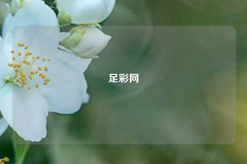 足彩网