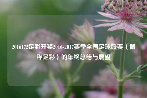2016172足彩开奖2016-2017赛季全国足球联赛（简称足彩）的年终总结与展望
