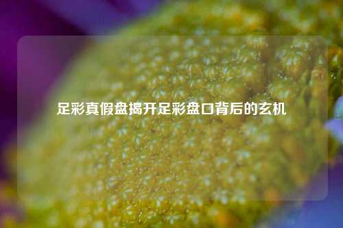 足彩真假盘揭开足彩盘口背后的玄机