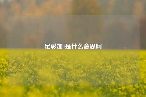 足彩加1是什么意思啊