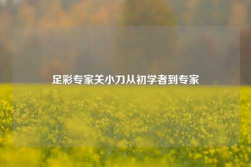 足彩专家关小刀从初学者到专家