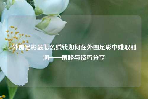 外围足彩最怎么赚钱如何在外围足彩中赚取利润——策略与技巧分享