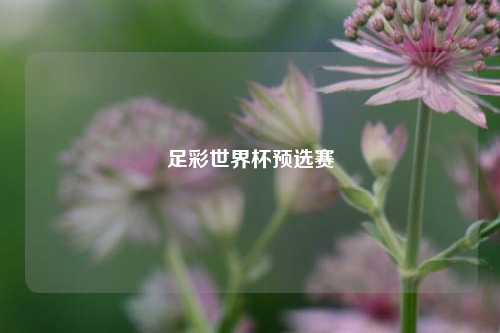 足彩世界杯预选赛