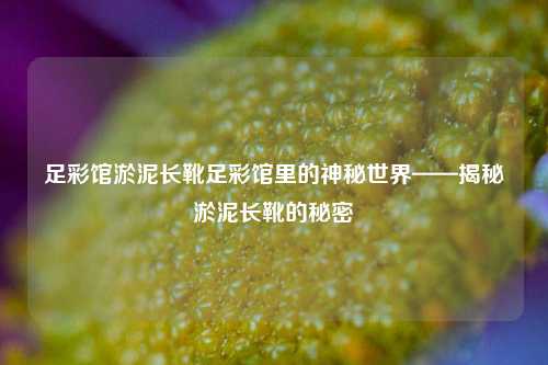 足彩馆淤泥长靴足彩馆里的神秘世界——揭秘淤泥长靴的秘密