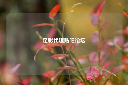足彩代理贴吧论坛