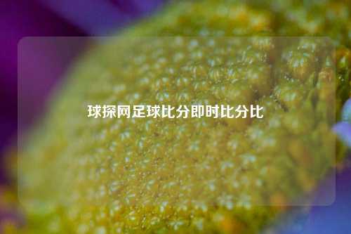 球探网足球比分即时比分比