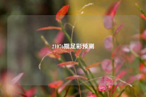 21076期足彩预测