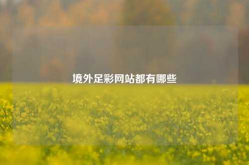 境外足彩网站都有哪些