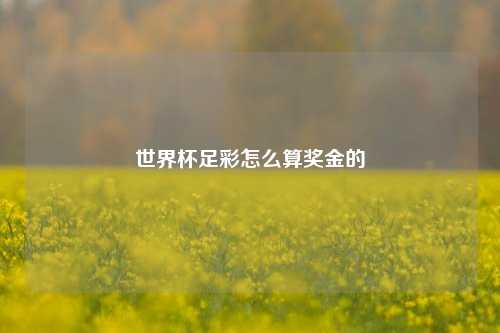 世界杯足彩怎么算奖金的