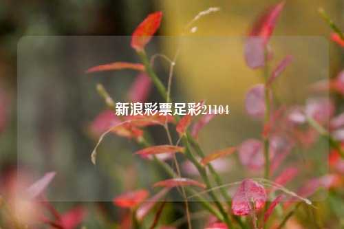 新浪彩票足彩21104