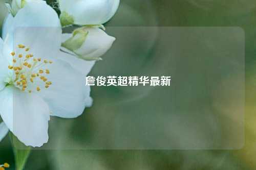詹俊英超精华最新