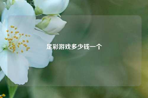 足彩游戏多少钱一个