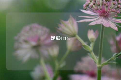 足彩18165
