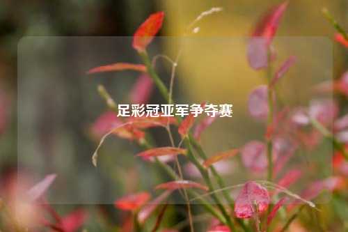 足彩冠亚军争夺赛