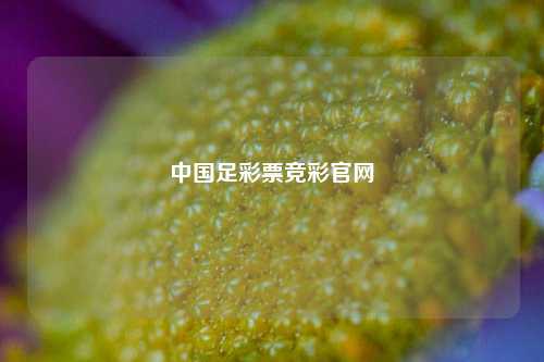 中国足彩票竞彩官网