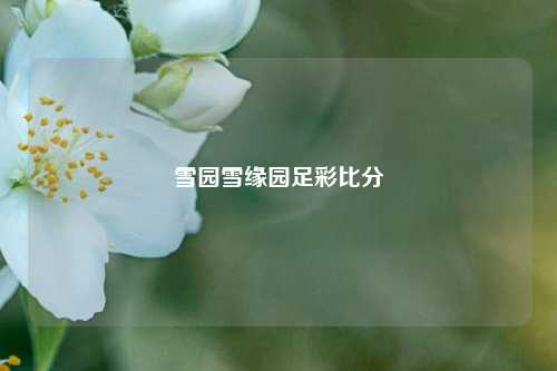 雪园雪缘园足彩比分