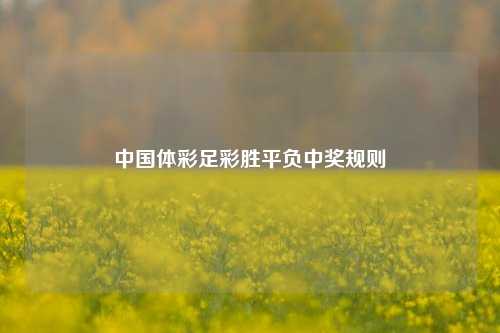 中国体彩足彩胜平负中奖规则