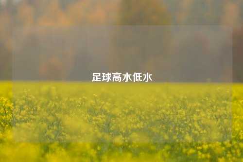 足球高水低水