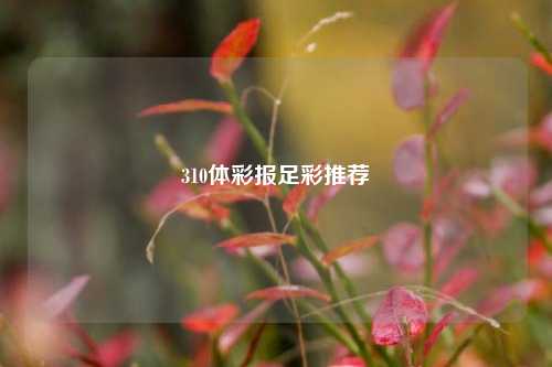 310体彩报足彩推荐