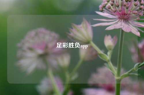 足彩胜负app